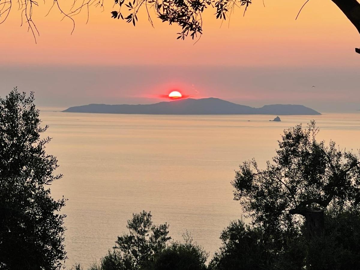 Arillas Hillside Villa 3 - Provence エクステリア 写真